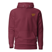 Load image into Gallery viewer, CHANNEL 37 Progress Hoodie