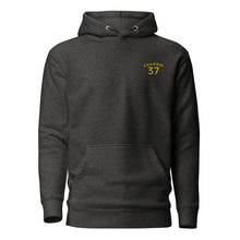 Load image into Gallery viewer, CHANNEL 37 Progress Hoodie
